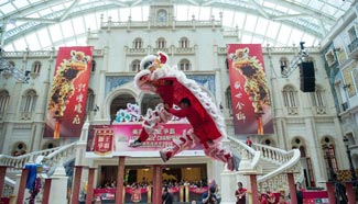 Lion dance competition held in Macao