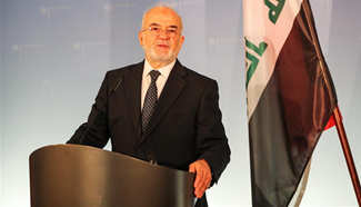 Iraq accepts no interference in internal affairs: FM