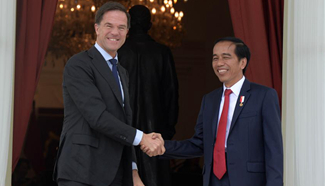 Indonesia, the Netherlands to further develop ties