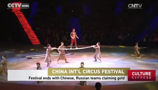 Int'l Circus Festival ends with Chinese, Russian teams claiming gold