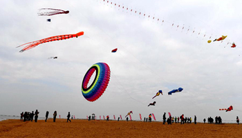Kite fair held in S China's Qinzhou
