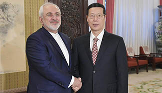 Chinese vice premier meets Iranian FM in Beijing