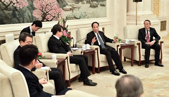 Chinese senior official meets Japan's LDP delegation of congressmen in Beijing