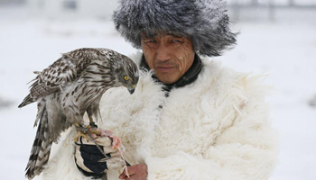 Traditional falconry seen at local tourism festival in China's Jilin