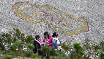 Giant mosaic made of 3 mln recycled discs in SE China's Taiwan