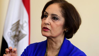 Interview: Egypt on right path in fighting illegal immigration: Egyptian official