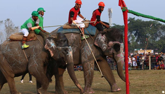 13th Elephant Festival celebrated in Nepal