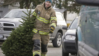 Christmas trees recycled in Canada