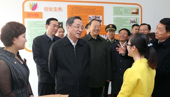 Chinese top political advisor makes inspection tour in Xinjiang