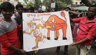 Protests demanding lifting of ban on bullfighting sport intensifies in India