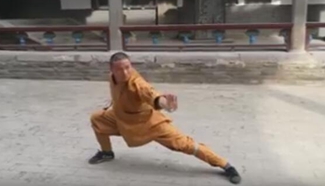 Fast and powerful martial arts display at Mt Song
