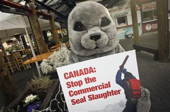 Demonstration held to protest against seal meat serving in Canada