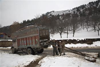Intense cold wave conditions continue in Indian-controlled Kashmir