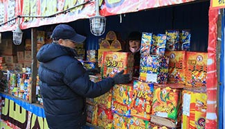 Beijing cuts number of fireworks retail outlets during Spring Festival