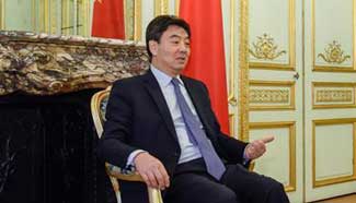 Interview: Sino-French ties won't change main direction in 2017: ambassador