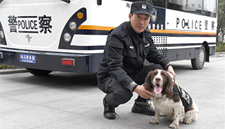 Police dogs on duty in Hefei during Spring Festival travel rush