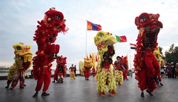 Celebrations made in Cambodia to welcome Chinese Spring Festival