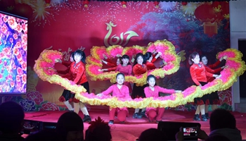 Villagers take part in Spring Festival gala in central China's Hubei