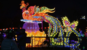 Tourists visit Baotu Spring Lantern Festival to celebrate Chinese New Year