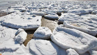 Sea ice seen in north China's Qinhuangdao