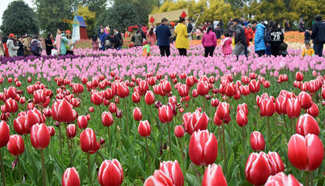 Tourists view tulip flowers in south China's Guangxi