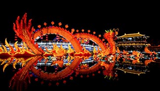 Tourists visit lantern fair in NW China