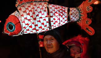 Fish-shaped lanterns parade held in east China