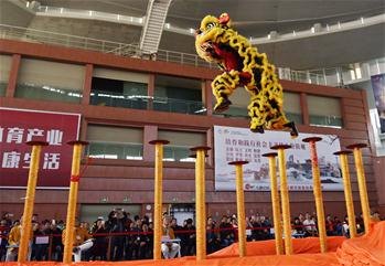 Lion dance competition held in China's Guangdong Province