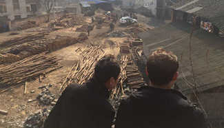 Eight dead in central China coal mine blast
