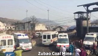 Eight dead in central China coal mine blast