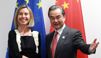 China, Europe to promote open world economy: Chinese FM