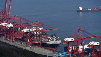Container throughput of Zhoushan Port up 4.5 pct y-on-y