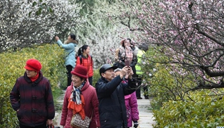 2017 International Plum Blossom Festival held in E China
