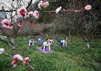 Yoga lovers practise yoga at plum garden in C China