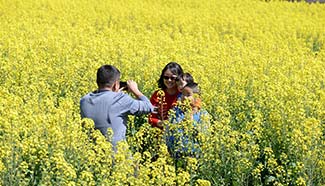 Tourists take photos in blooming rape flowers, SW China