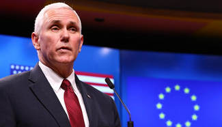 U.S. vice president reaffirms strong commitment to EU