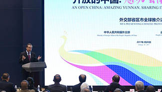 Chinese FM addresses 6th event presenting Chinese provinces