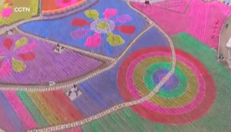 400,000 colorful windmills brighten early spring in southwest China
