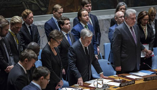 UN Security Council pays tribute to late Russian UN Ambassador Churkin
