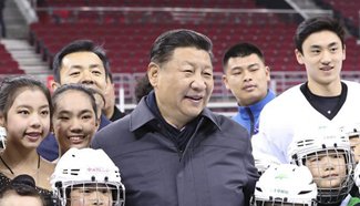 Xi stresses preparation for Beijing 2022 Winter Olympics