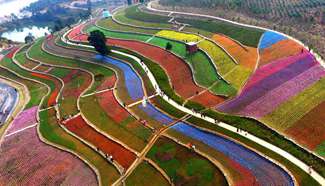 Scenery of tulip fields in Xinyu, east China