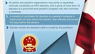 Graphics: How deputies of China's NPC are elected