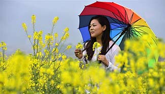 Tourists pose for photos among cole flowers in E China