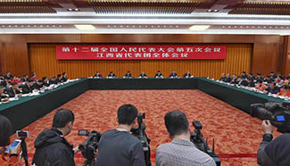 Plenary meeting of 12th NPC deputies from Jiangxi Province opens to media