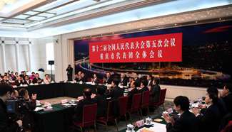 Plenary meeting of 12th NPC deputies from Chongqing opens to media