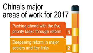 Graphics: China's major areas of work for 2017