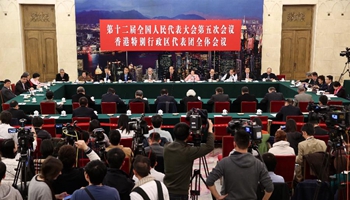Plenary meeting of 12th NPC deputies from Hong Kong opens to media