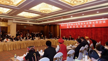 Plenary meeting of 12th NPC deputies from Hainan opens to media