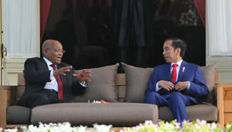 Indonesian president meets with South Africa's president in Jakarta