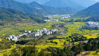 Spring scenery of Wuyuan County in east China